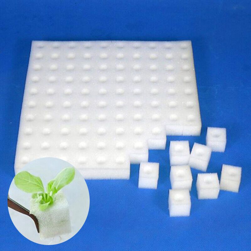 100 cubes Premium Quality Germination Sponge Hydroponic