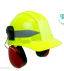 Safety Helmet With Ear Muffs