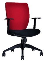 Safari Low Back Chair FIX - FX 14