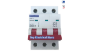 Main switch 100A