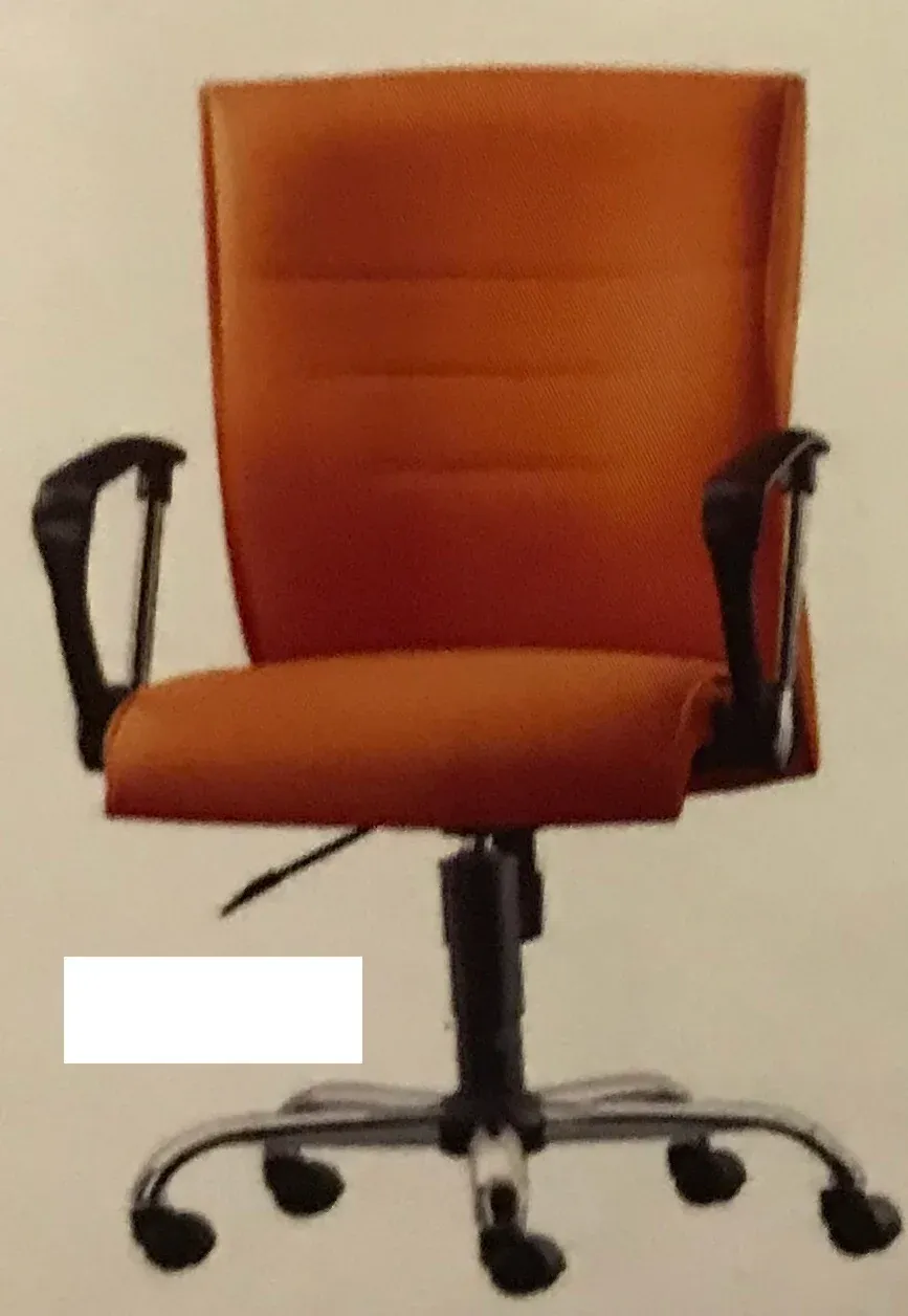 GARDENIA VISITOR CHAIR