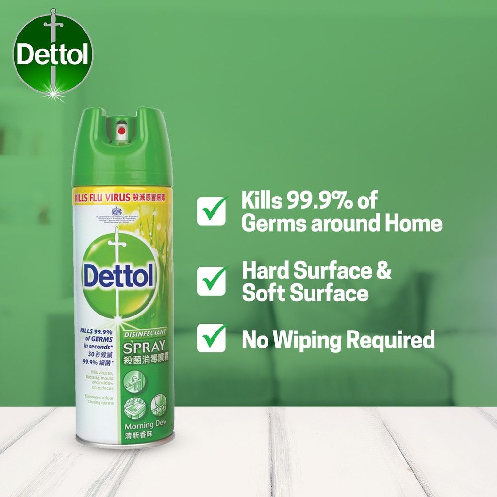 Dettol Spray 450ml Morning Dew