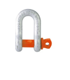 Screw Pin Grade S Dee Shackle - China Brand
