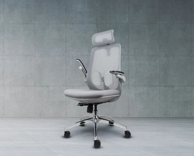 Ergonomic Desk Chair LIV-10