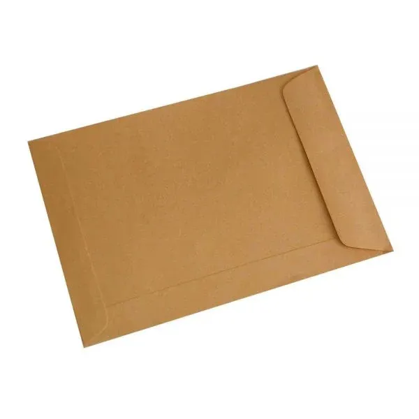Brown Envelope A4 9"x12.75"