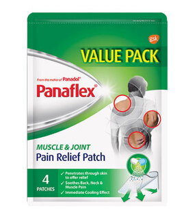 PANAFLEX PAIN RELIEF PATCH (2'S)