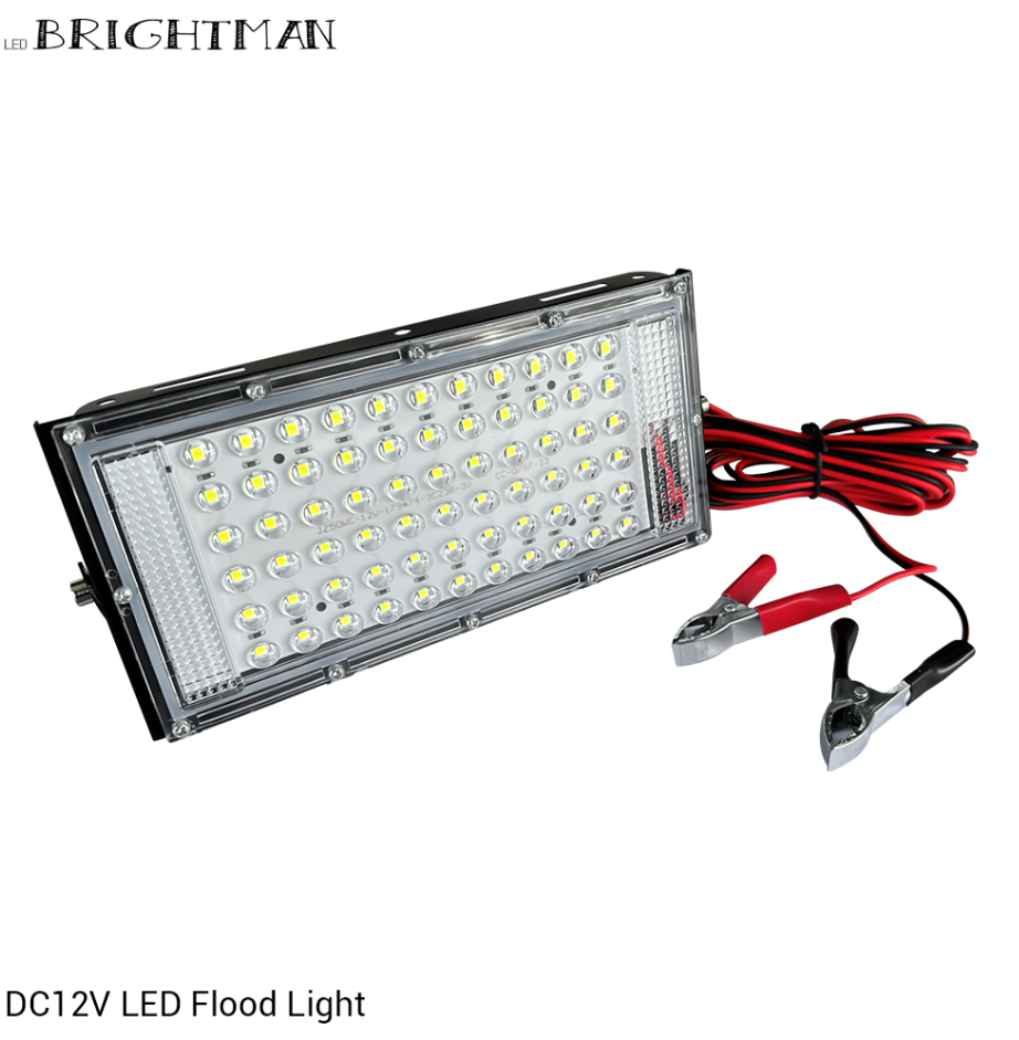 BRIGHTMAN DC12V LED FLOOD LIGHT BM-22DC (22W / DL)