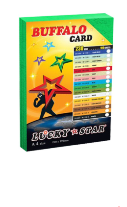 FANCY CARD PAPER 230 gms - 100/PKT /Fancy /Card Paper /Card /230gms