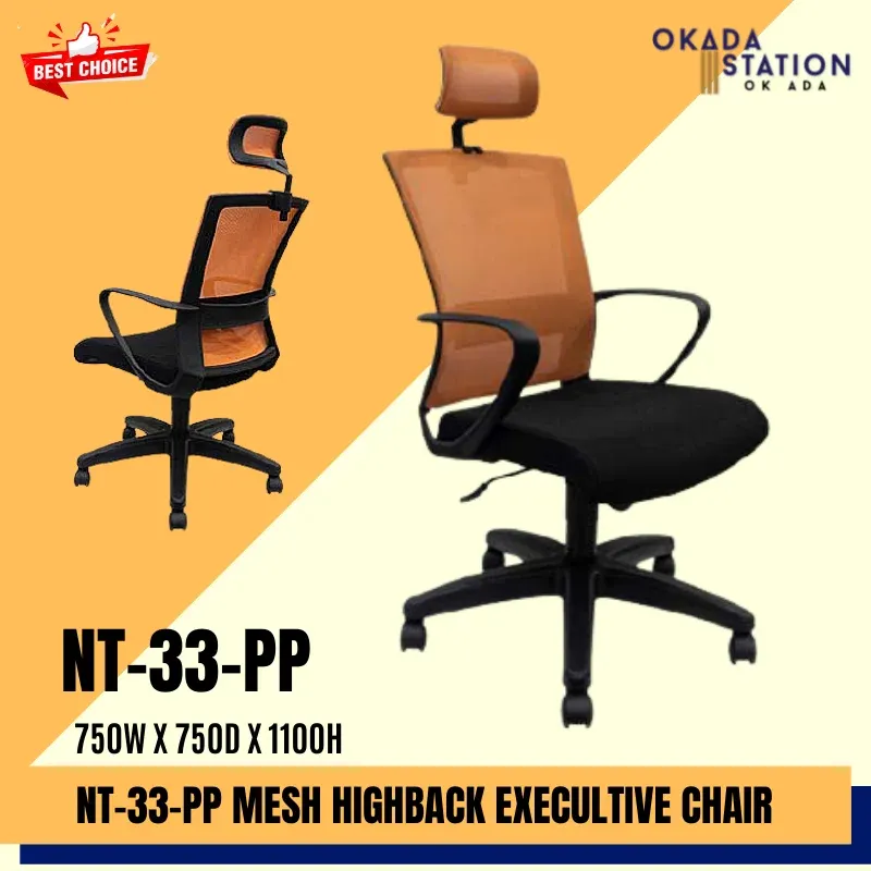 Executive Ergonomic High Back Mesh Chair NT-33 / PP BASE LEG / CHROME BASE LEG / Executive / Ergonomic / Office Chair
