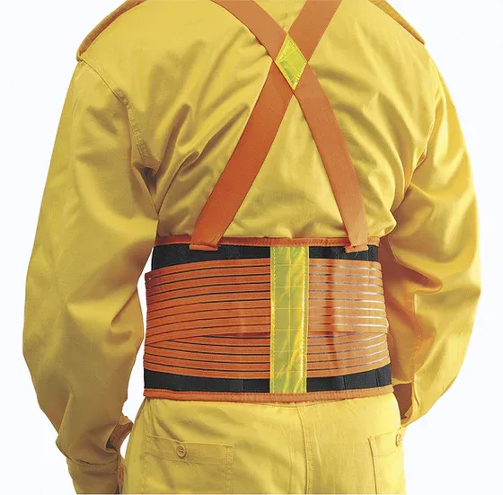 Proguard Lifting Support Belt LSB(O/B)