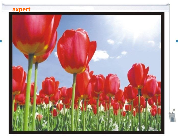 AXPERT MOTORIZED SCREEN (WHITE STEEL CASING)