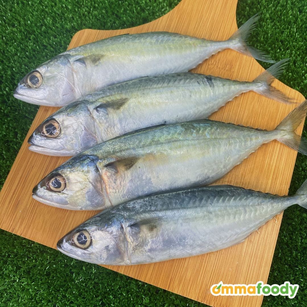 Ikan Kembung 1KG