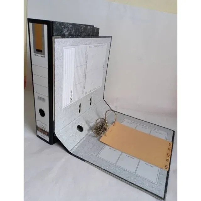 LION 2'' & 3'' ARCH FILE (BOX 30PCS)