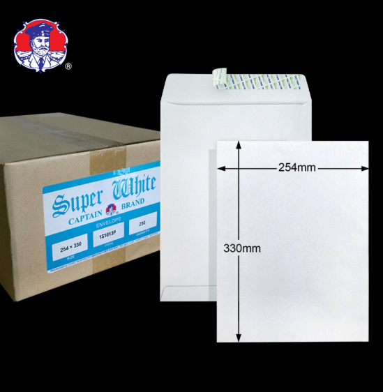 10"X13" 100GM SUPER WHITE P&S ENVELOPE (250'S X 4 BOXES)