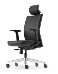 PRESIDENTIAL HIGH BACK CHAIR (LEATHER) / ELINI (ER5510L-10D36)