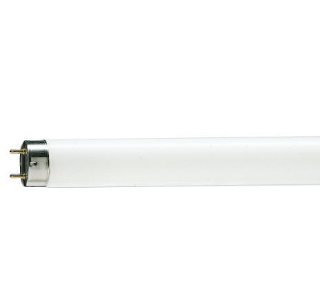 Genuine Malaysia Philips Warranty - Philips TLD Tube Lifemax 18W Cool Daylight 6500K