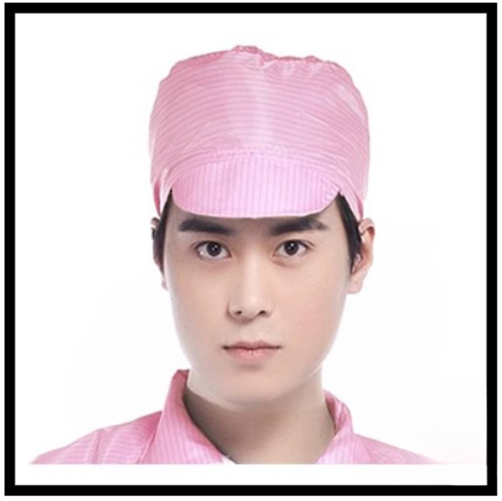 ESD CAP ANTI STATIC CAP CLEANROOM FOOD INDUSTRIES HATS DUSTPROOF BLUE WHITE PINK ANTI STATIC VISOR CAP