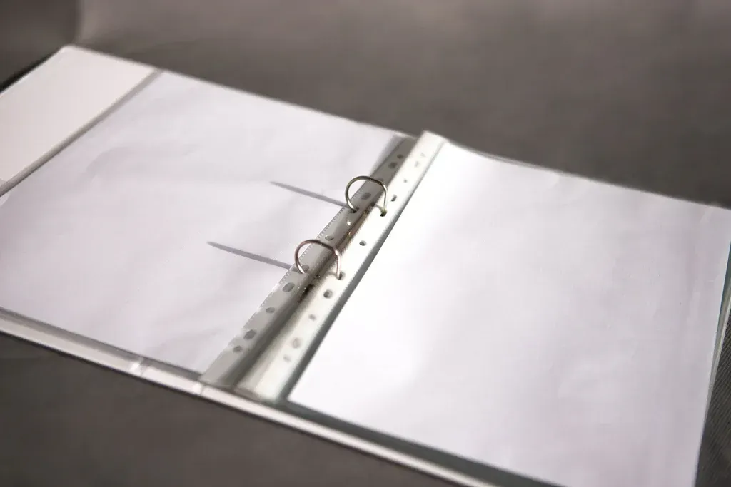 LION SHEET PROTECTOR (CLEAR) FILE A4 PP 60 MICRON