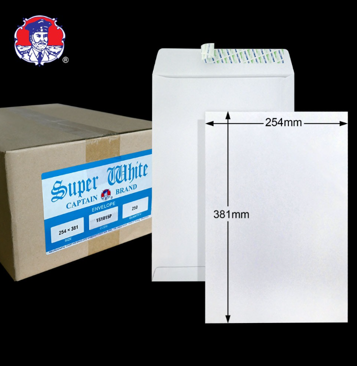 10"X15" 100GM SUPER WHITE P&S ENVELOPE (250'S/BOX)