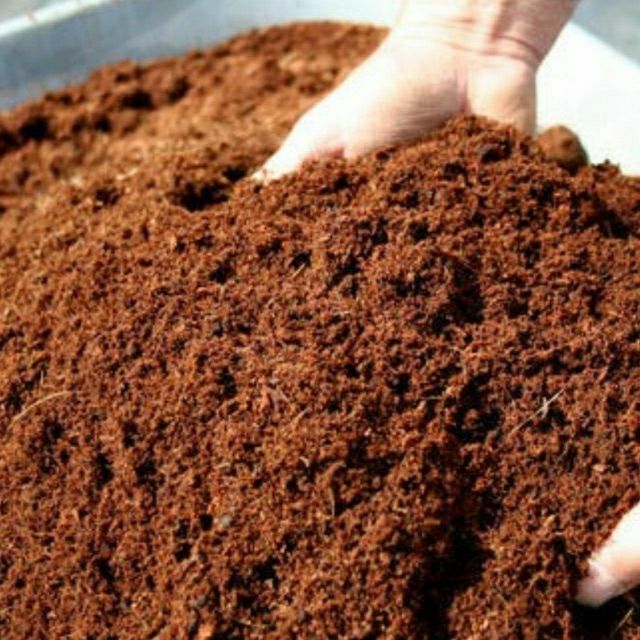 COCOPEAT (1KG)