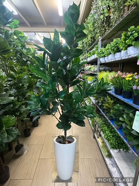 Pokok Bunga Plastic + Pasu Putih