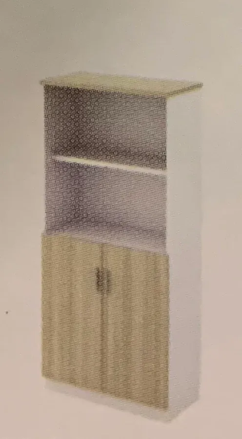 SEMI SWINGING DOOR MEDIUM CABINET 2