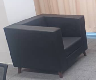KIONG CUSHION Single Seated Sofa with metal leg