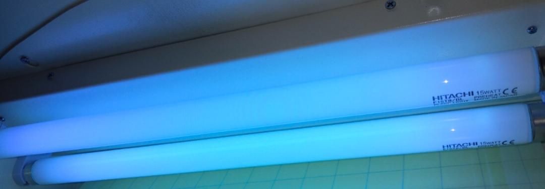 Fly Trap Lights
