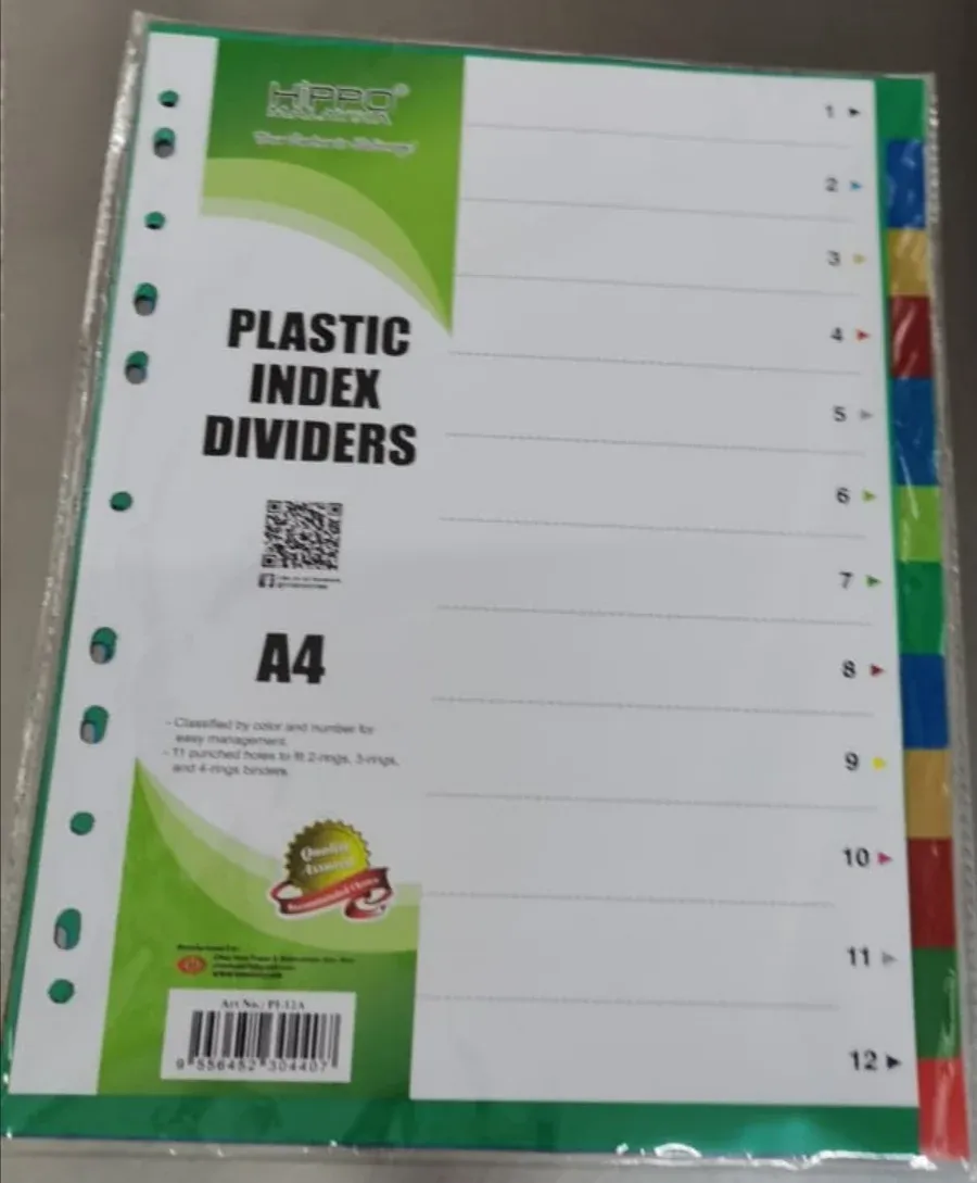Plastic colour index A4 (12 sheets)