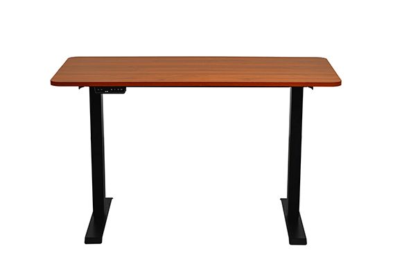 EVIS Smart Standing Desk Lite