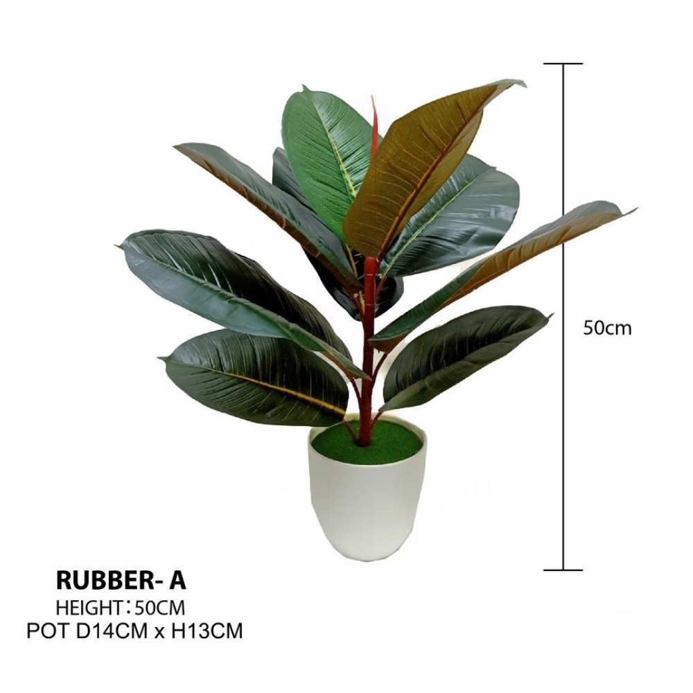 Rubber Plant Artificial Plant 50cm