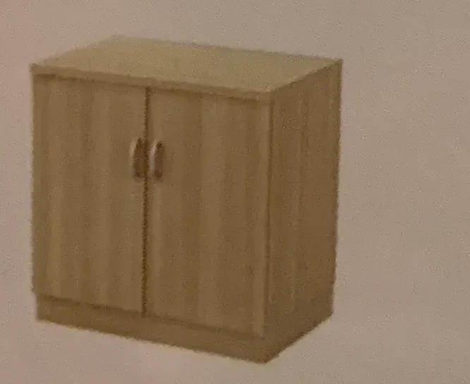 TWINK SWINGING DOOR LOW CABINET