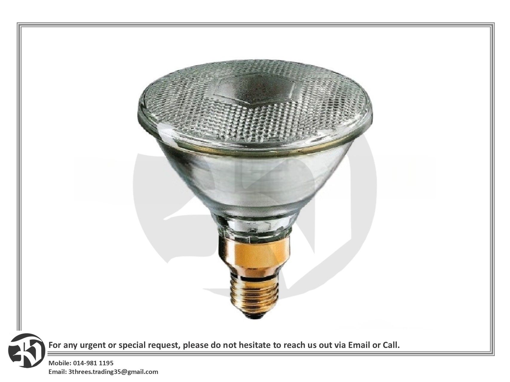 FSL Spot Light PAR38 80W E27 AC240V (Frosted)