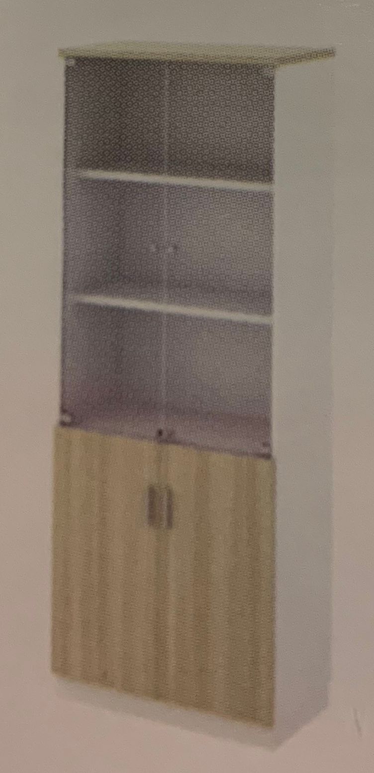 SWINGING GLASS DOOR HIGH CABINET