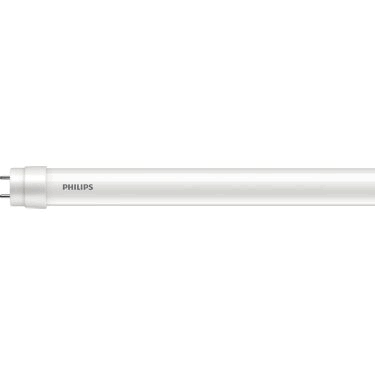 T8 bulb