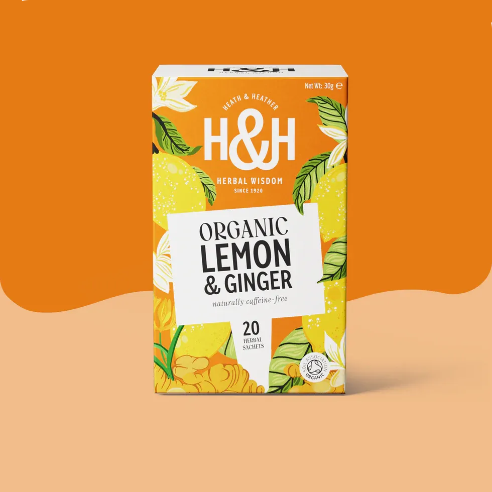 H&H Organic Lemon & Ginger x 6
