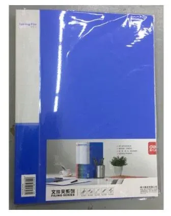 LEVEL CLAMP FILE A4 SPRING CLIP+POCKET DELI E5303