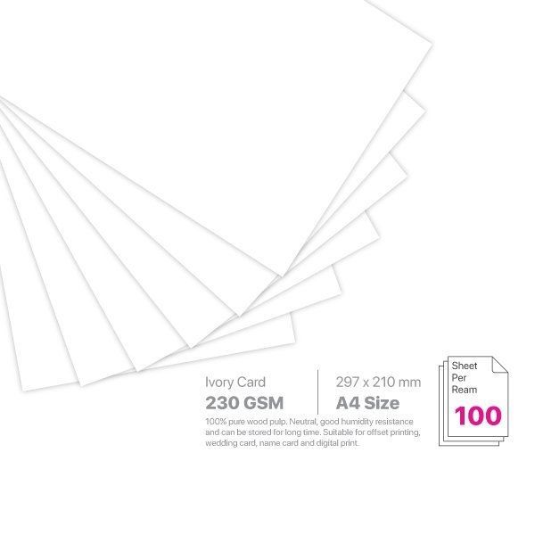 A4 Ivory Card 230gsm 100pcs