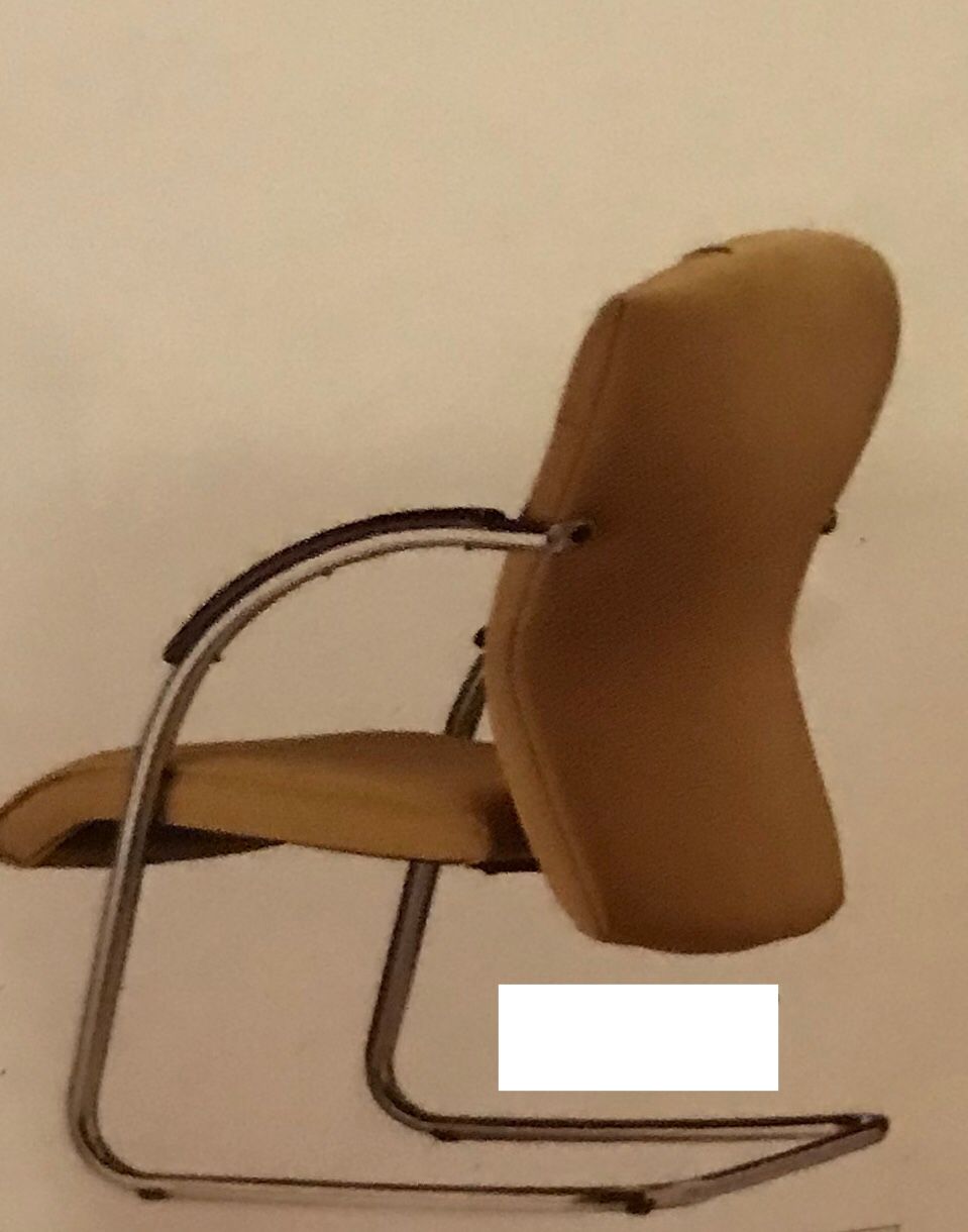 KENNEDIA VISITOR CHAIR
