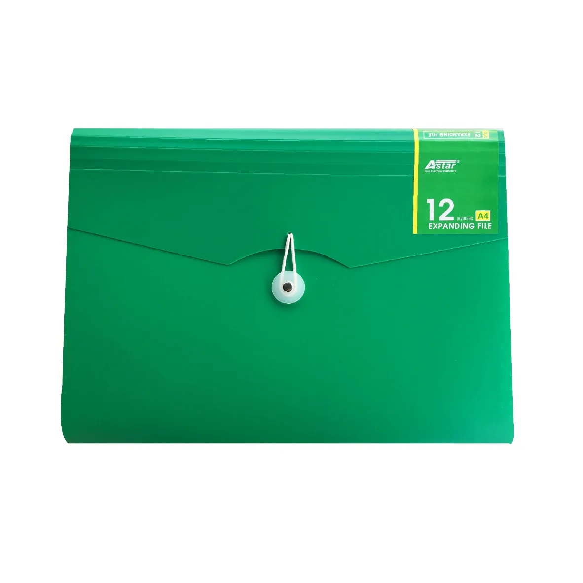 ASTAR MANAGEMENT FILE A4 807A (12'S/PACK)