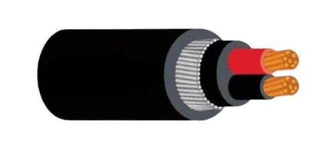 COPPER MULTICORE CABLE (ARMOURED) AND CABLE GLAND 6mmsq X 2C