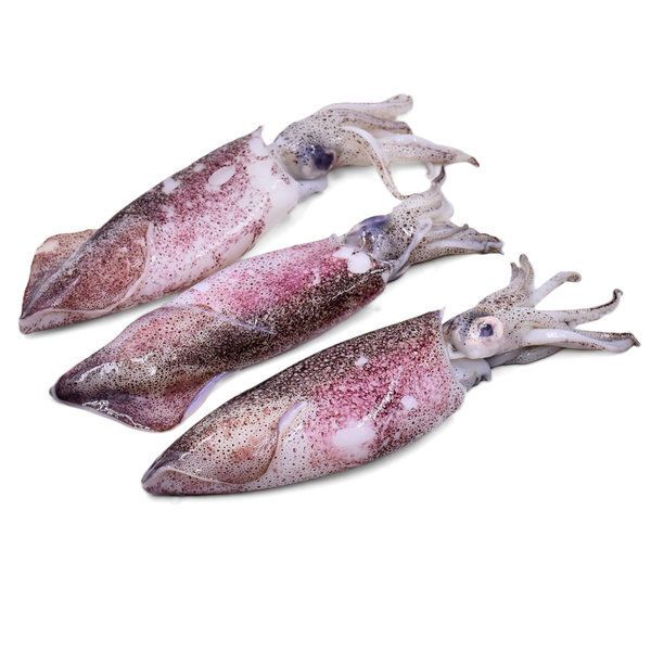 Sotong 1KG