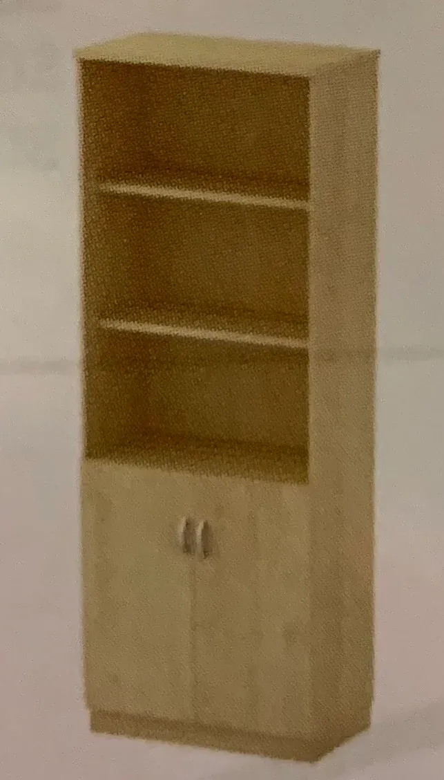 SEMI SWINGING DOOR HIGH CABINET