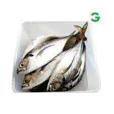 Ikan Cencaru 1KG