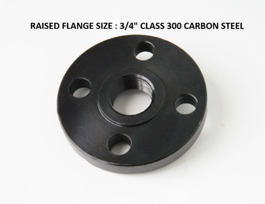 Raised Flange, 3/4 inch, Carbon Steel, Class 300