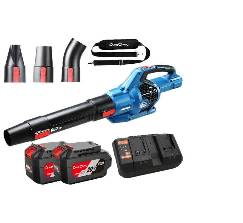 Cordless Blower with 2 Battery