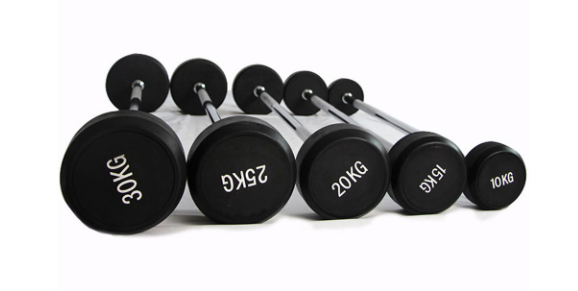 DESIRE GYM Round Fix Barbell Straight
