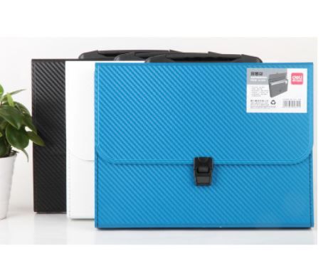 DELI Expanding File with Handle No.5641 13 Pocket A4 Size