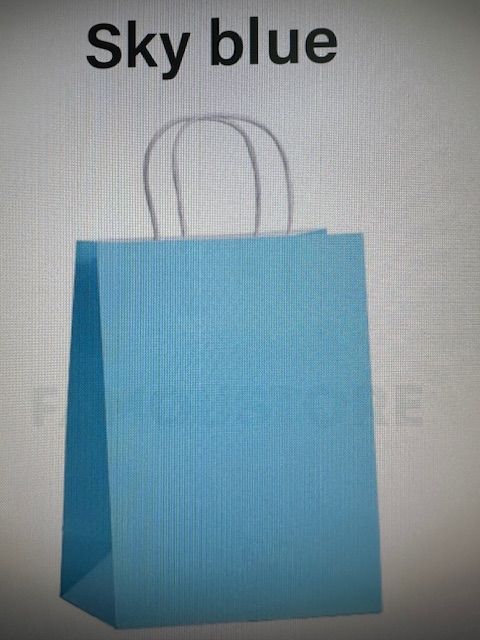 Kraft Paper Bag 21*11*27CM (M)