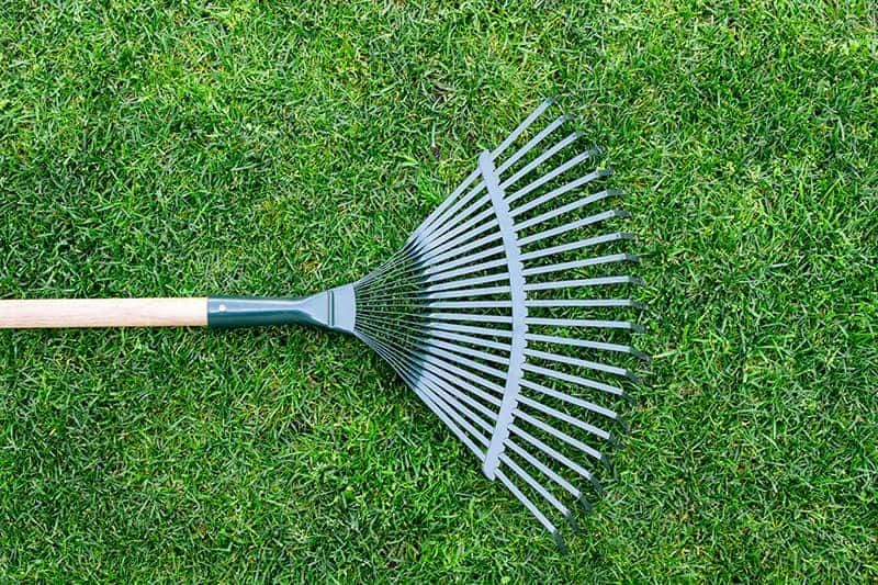 Garden Grass Rake Steel (gerat besi) sekali batang